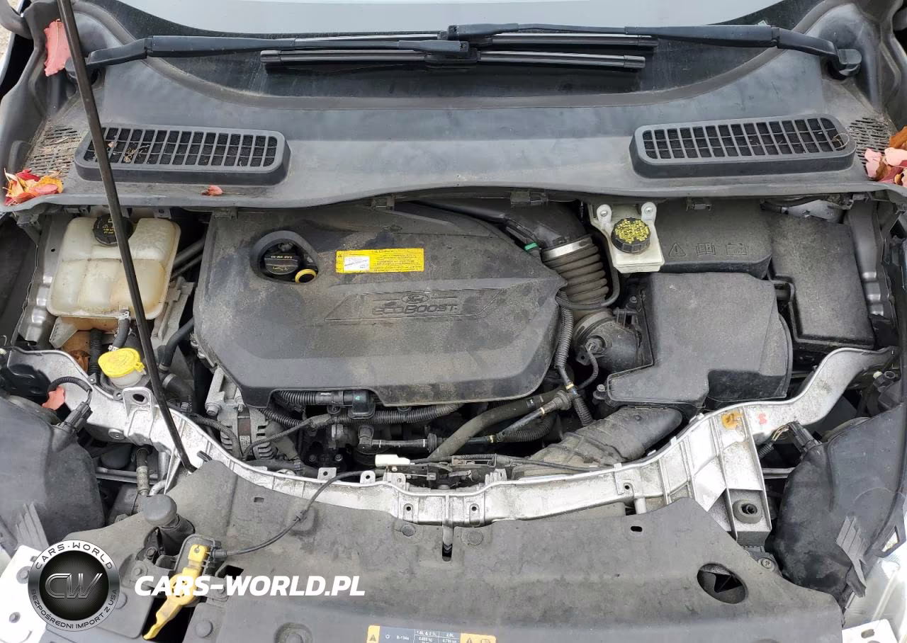 2016 Ford Escape Se VIN:1FMCU0GX3GUB63180 - 12