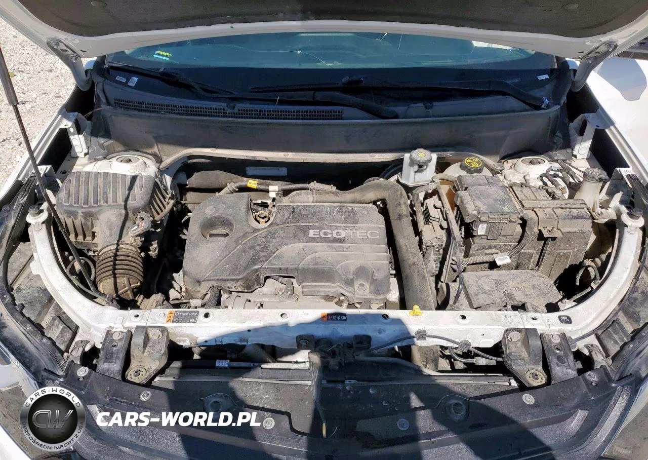 2019 Chevrolet Equinox Lt VIN:3GNAXJEV4KS645912 - 12