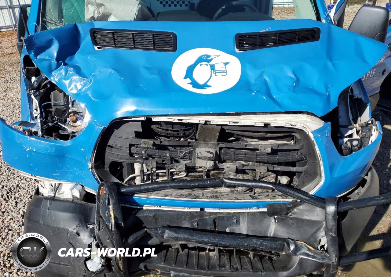 2019 Ford Trans 250 VIN:1FTYR2CM3KKB08316 - 12