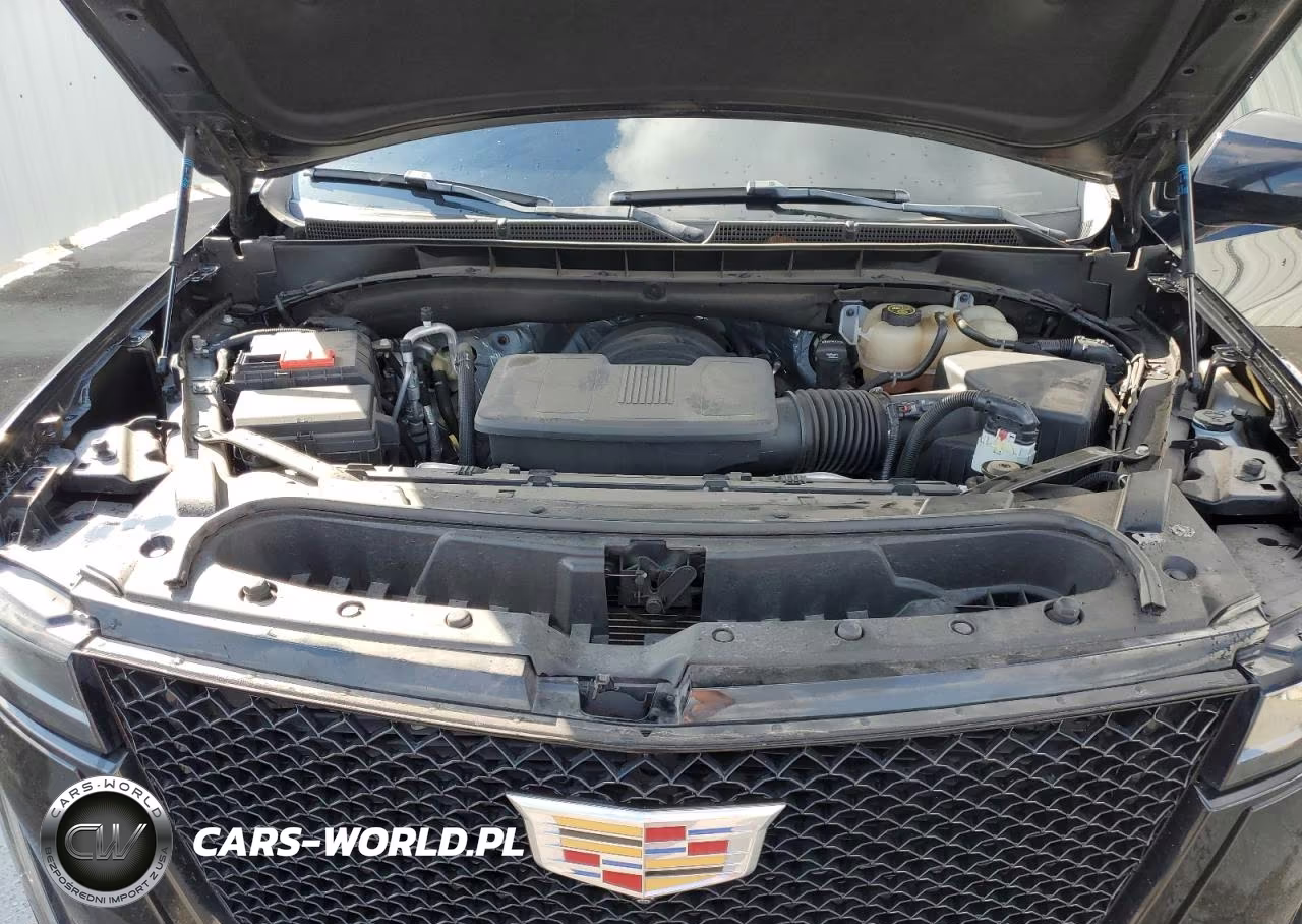 2023 Cadillac Escalade Esv Sport VIN:1GYS4NKL8PR266822 - 12