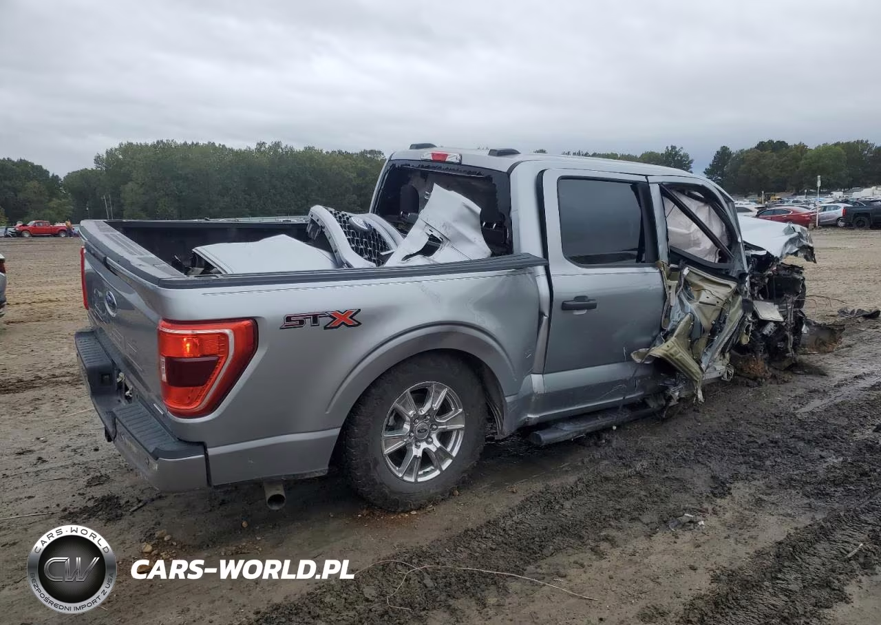 2021 Ford F150 Supercrew VIN:1FTEW1CP3MKE23359 - 3