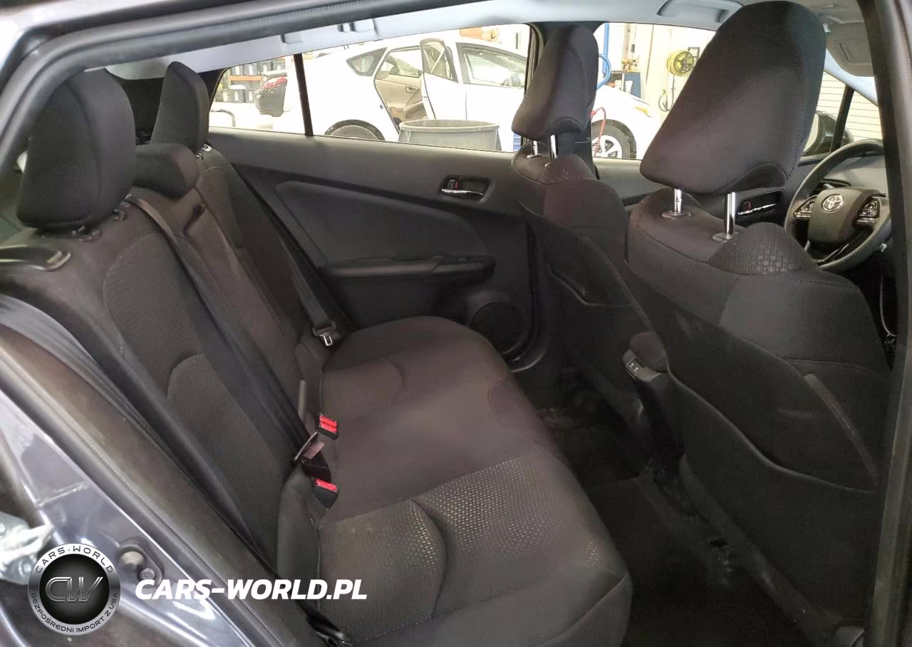 2019 Toyota Prius VIN:JTDL9RFU6K3001060 - 10