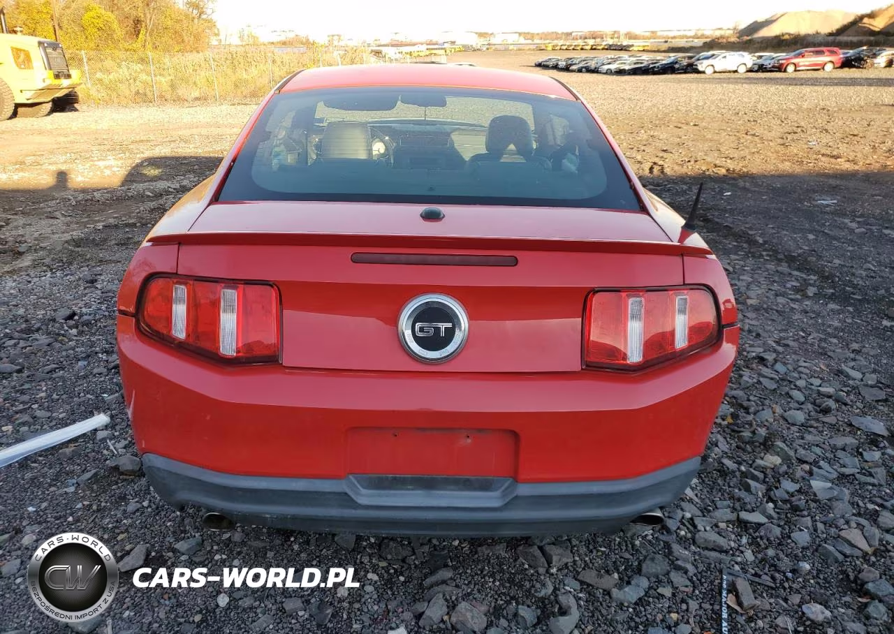 2010 Ford Mustang Gt VIN:1ZVBP8CH2A5155610 - 6