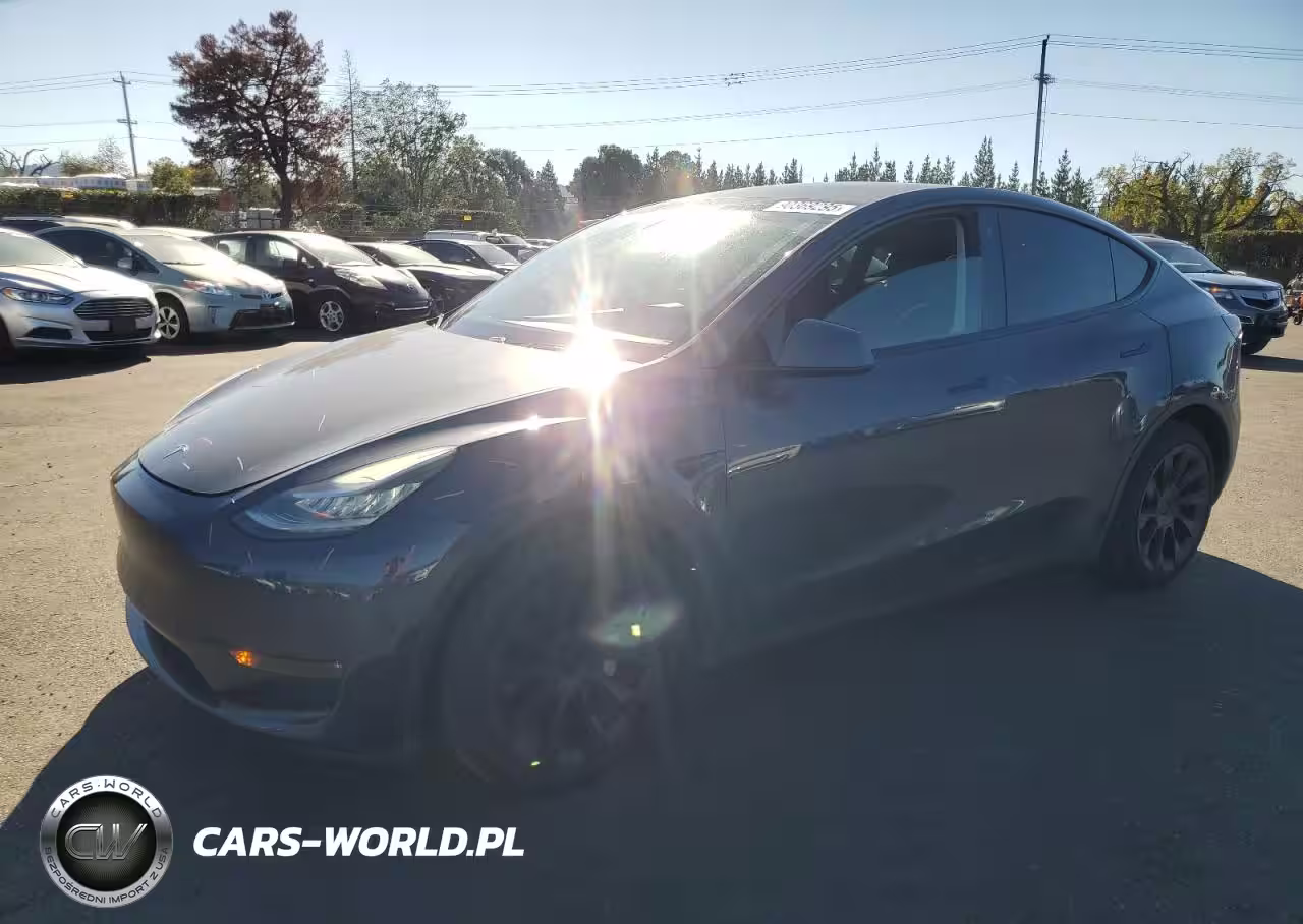 2020 Tesla Model Y
