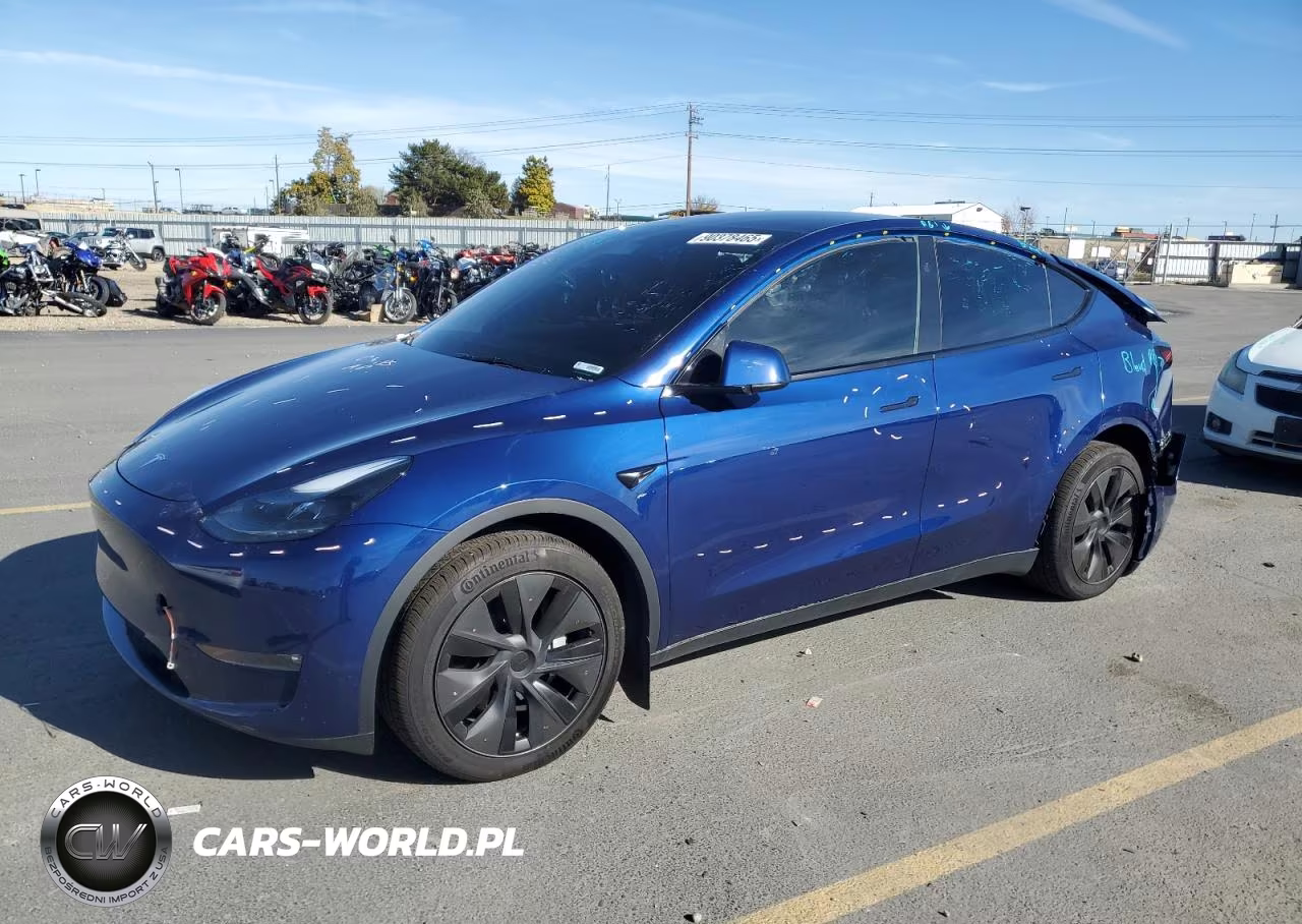 2025 Tesla Model Y