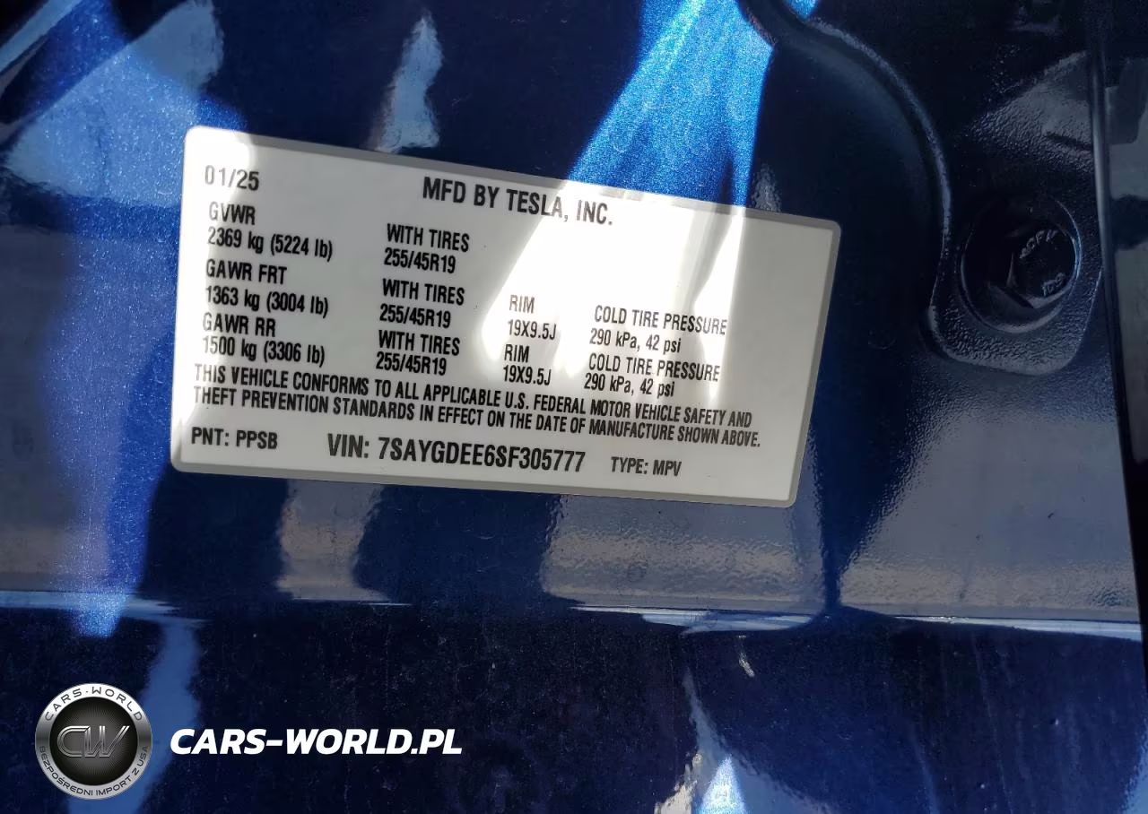 2025 Tesla Model Y VIN:7SAYGDEE6SF305777 - 13