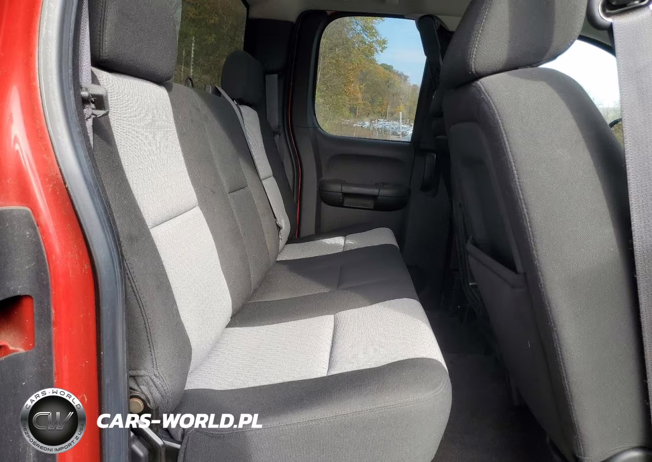 2009 Chevrolet Silverado K1500 VIN:1GCEK19C39Z234810 - 10