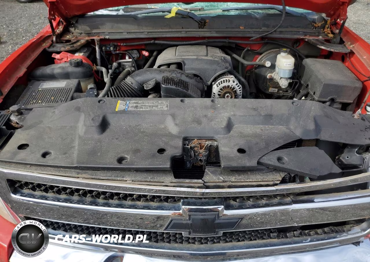 2009 Chevrolet Silverado K1500 VIN:1GCEK19C39Z234810 - 11