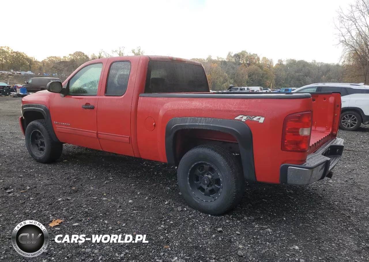 2009 Chevrolet Silverado K1500 VIN:1GCEK19C39Z234810 - 2