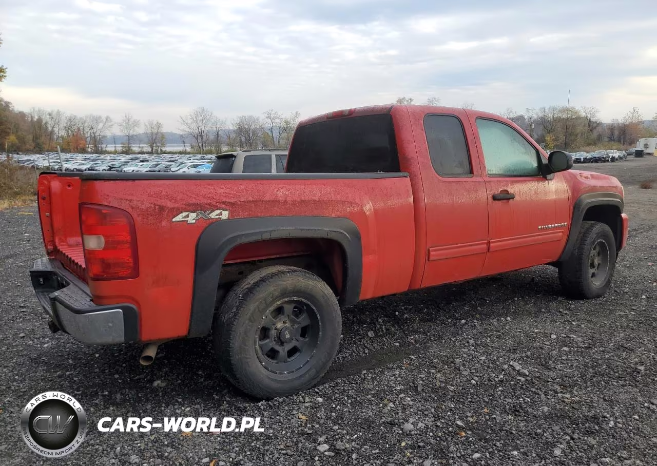 2009 Chevrolet Silverado K1500 VIN:1GCEK19C39Z234810 - 3