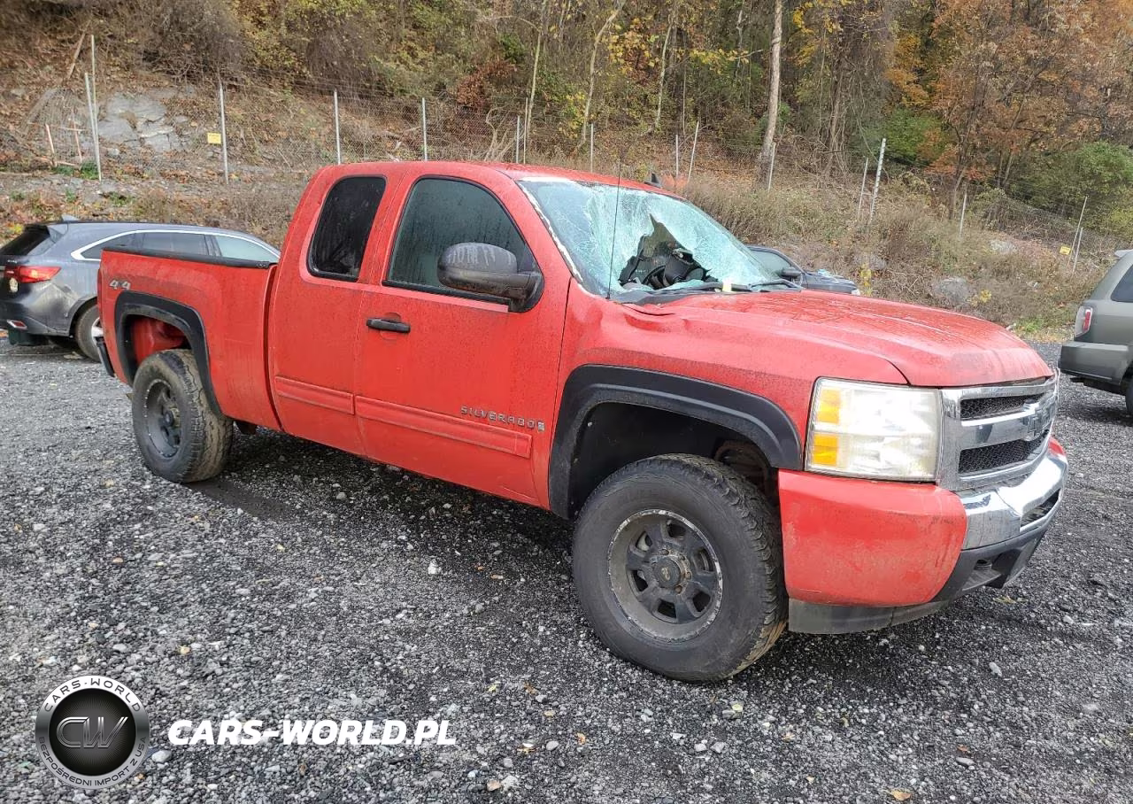 2009 Chevrolet Silverado K1500 VIN:1GCEK19C39Z234810 - 4