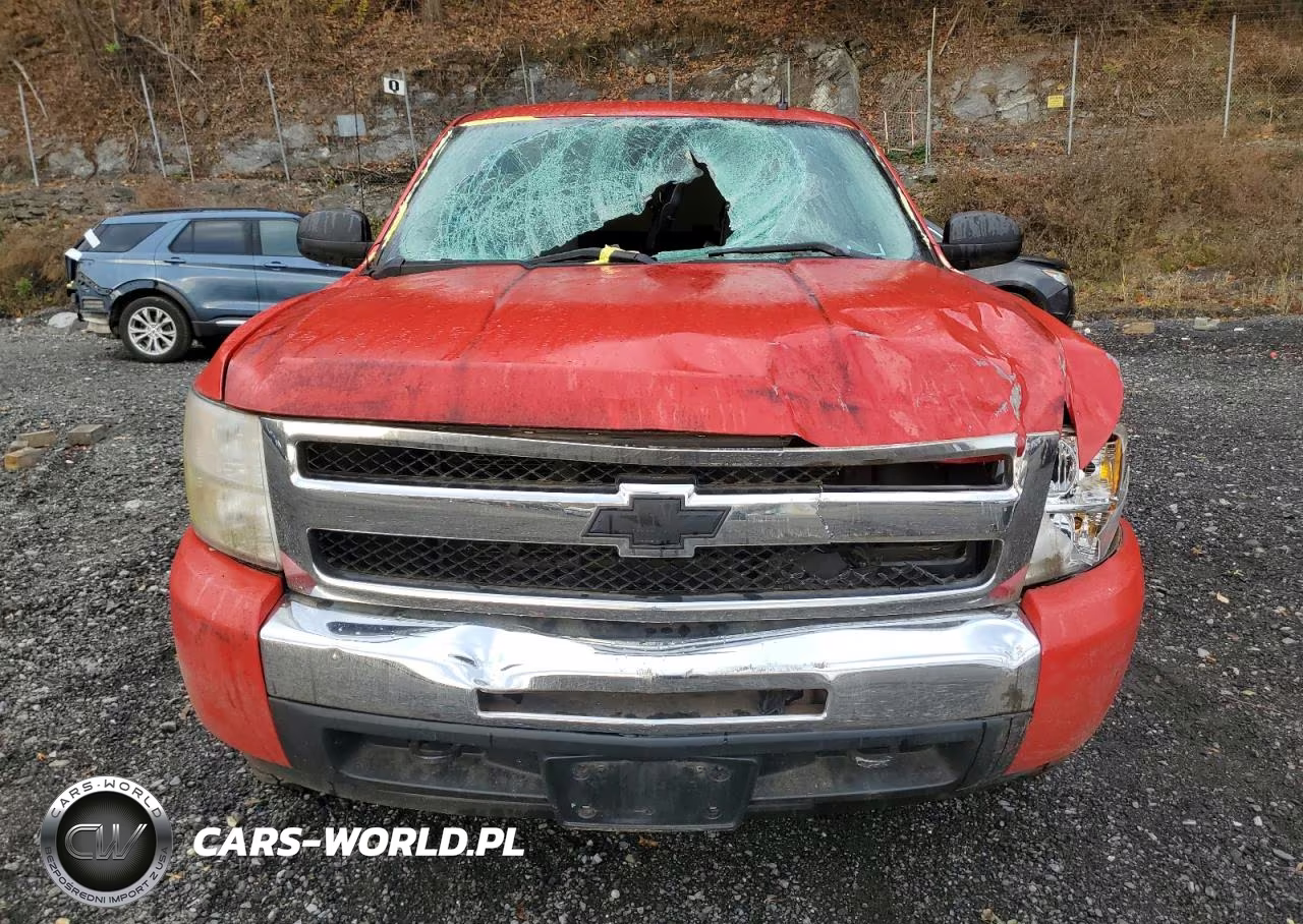2009 Chevrolet Silverado K1500 VIN:1GCEK19C39Z234810 - 5