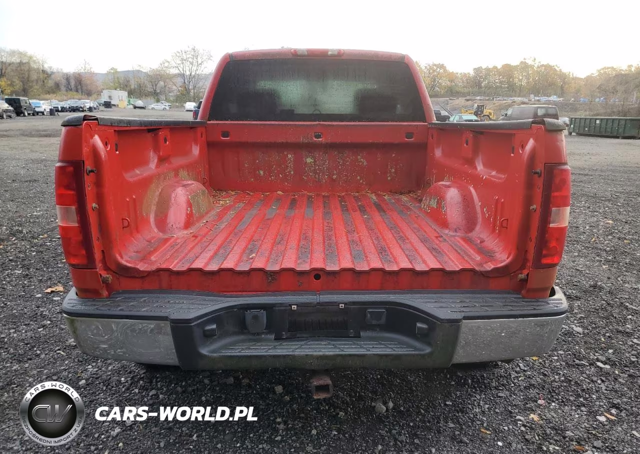 2009 Chevrolet Silverado K1500 VIN:1GCEK19C39Z234810 - 6