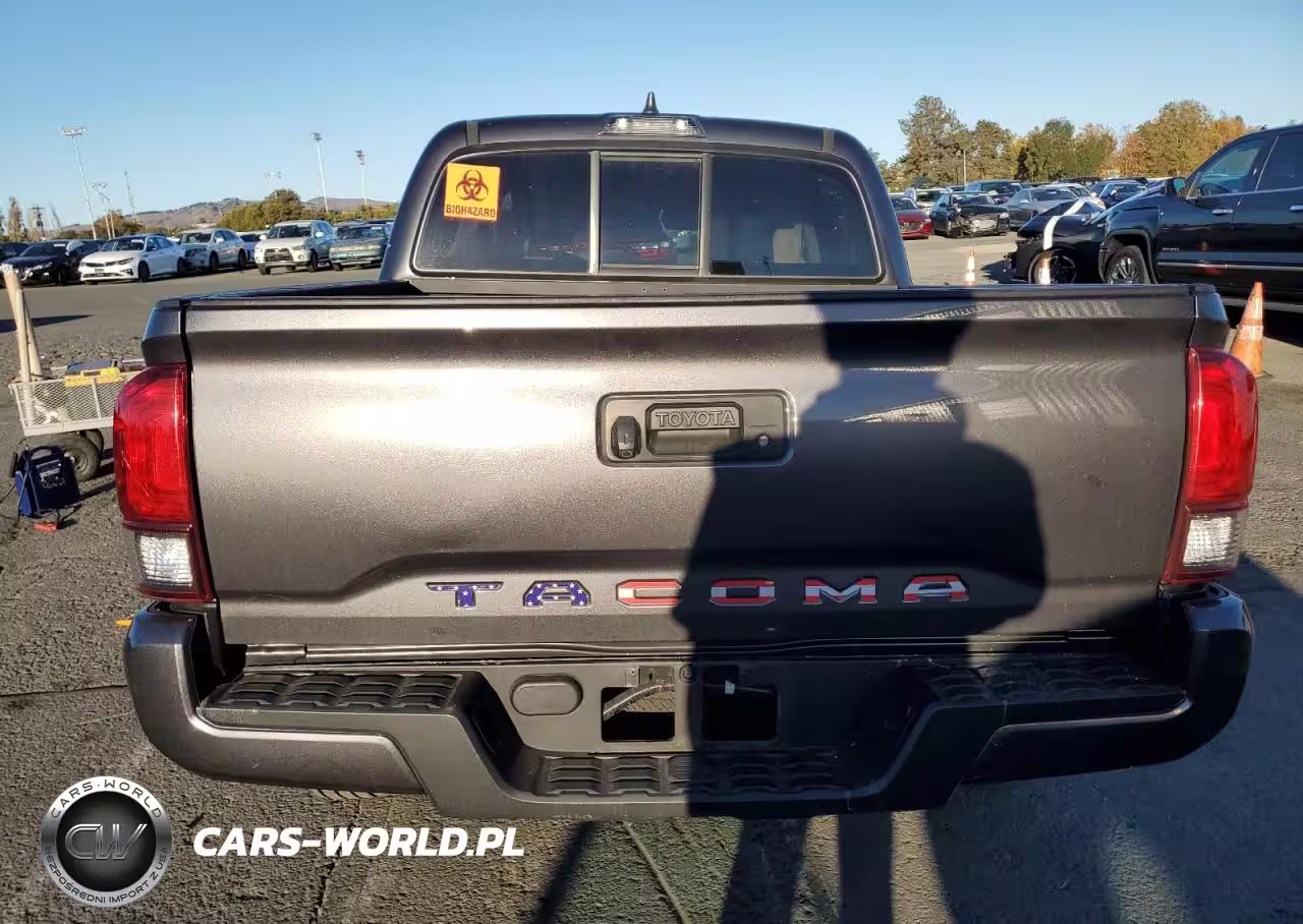 2020 Toyota Tacoma Double Cab VIN:5TFAX5GN5LX171837 - 6