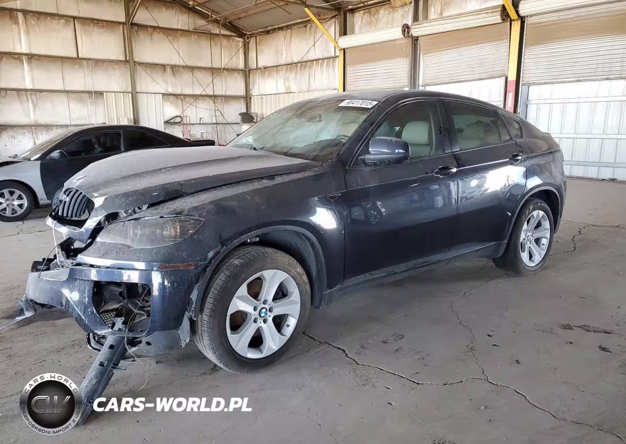 2010 BMW X6 xDrive35I