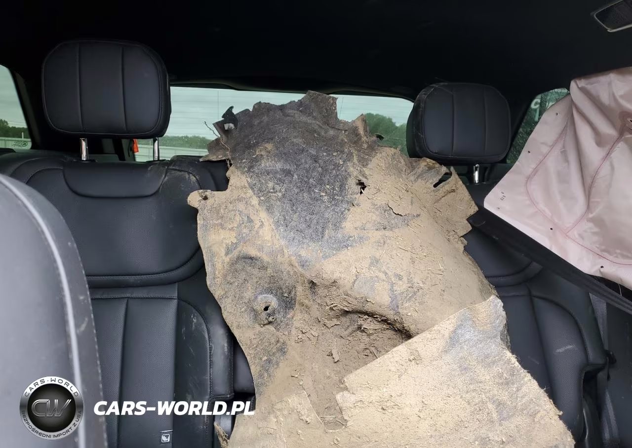 2025 Land Rover Range Rover Sport Dynamic Se VIN:SAL1L9FU5SA438321 - 10