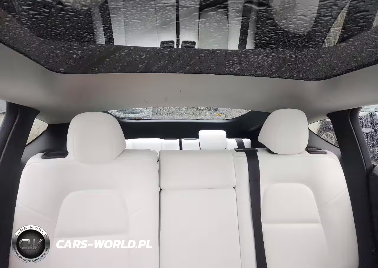 2023 Tesla Model Y VIN:7SAYGAEE4PF931561 - 10