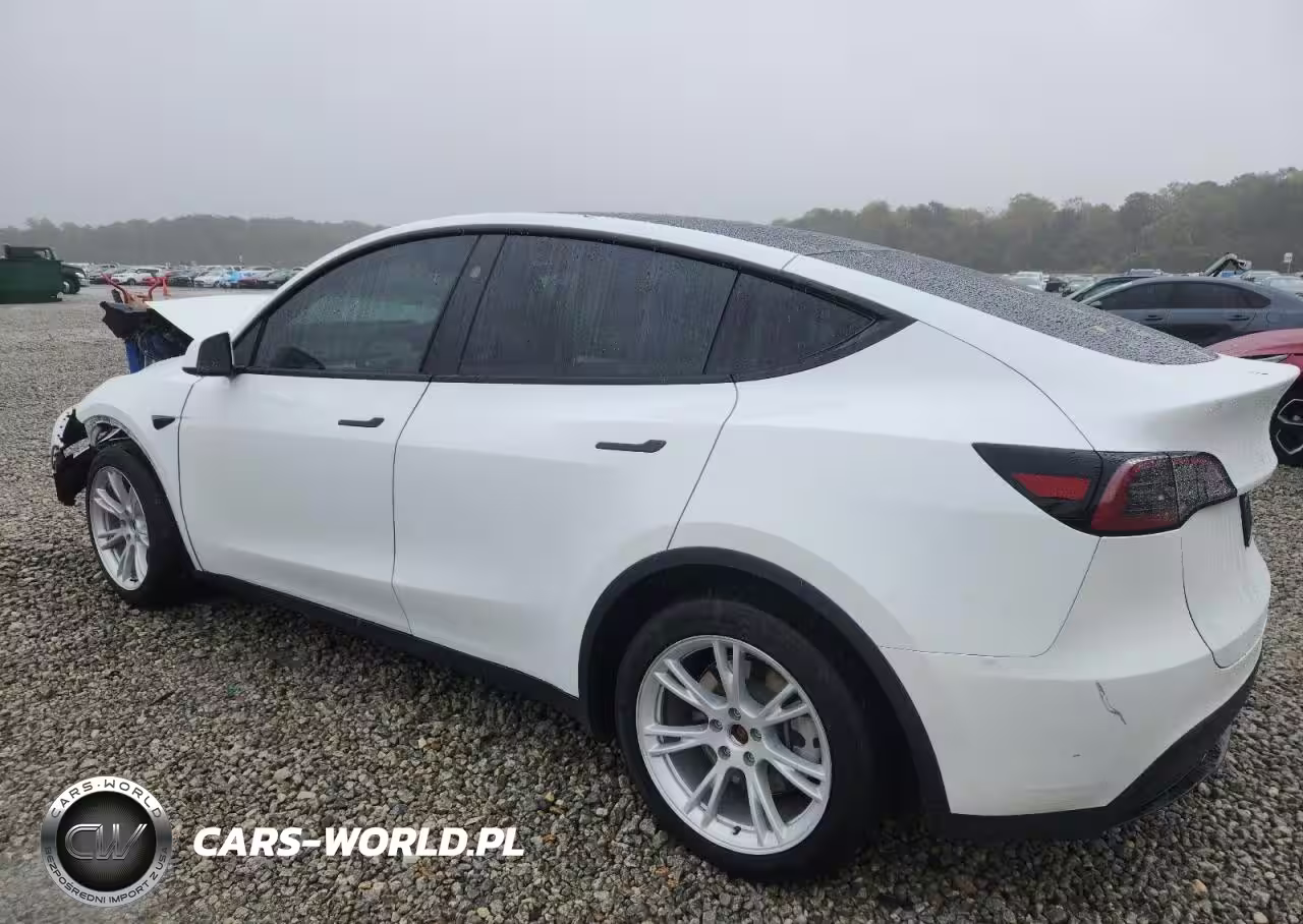 2023 Tesla Model Y VIN:7SAYGAEE4PF931561 - 2