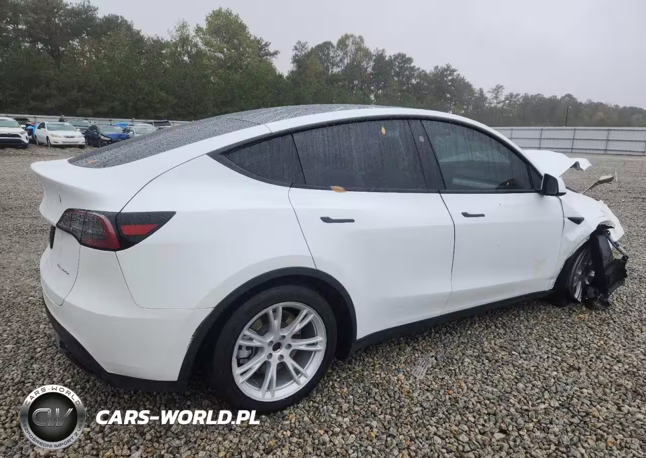 2023 Tesla Model Y VIN:7SAYGAEE4PF931561 - 3