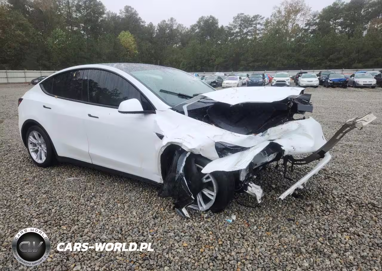 2023 Tesla Model Y VIN:7SAYGAEE4PF931561 - 4