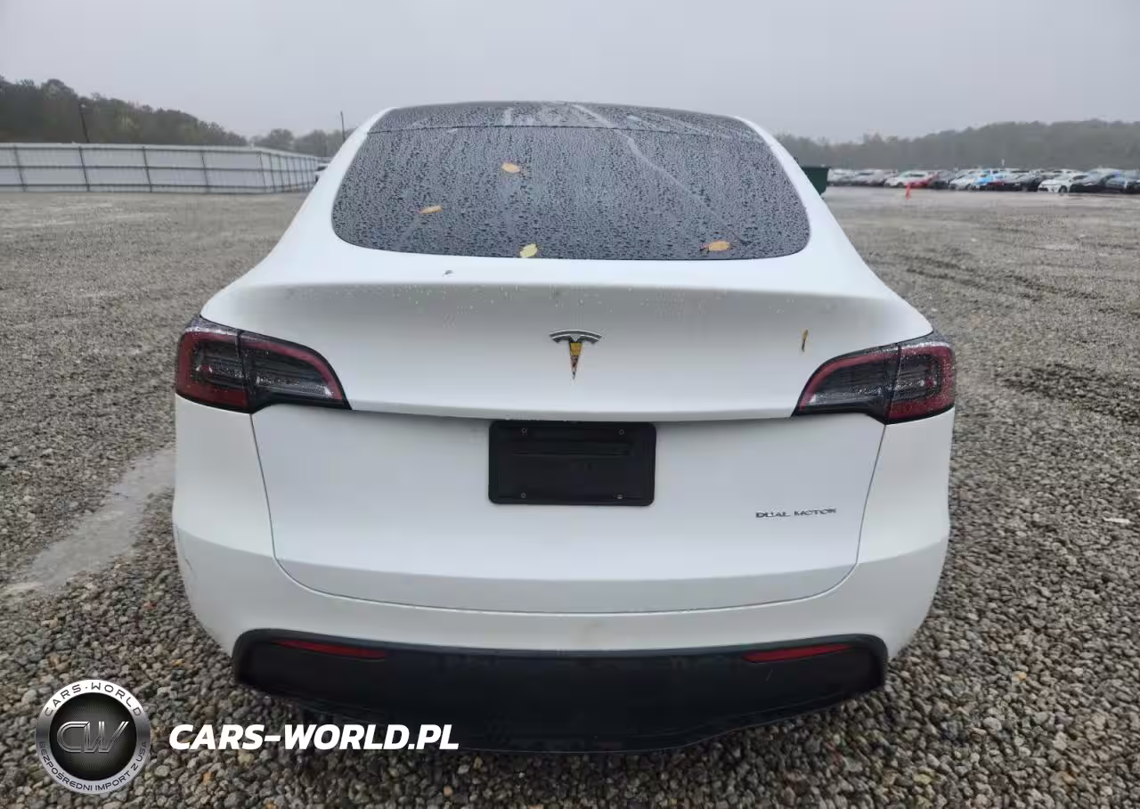 2023 Tesla Model Y VIN:7SAYGAEE4PF931561 - 6