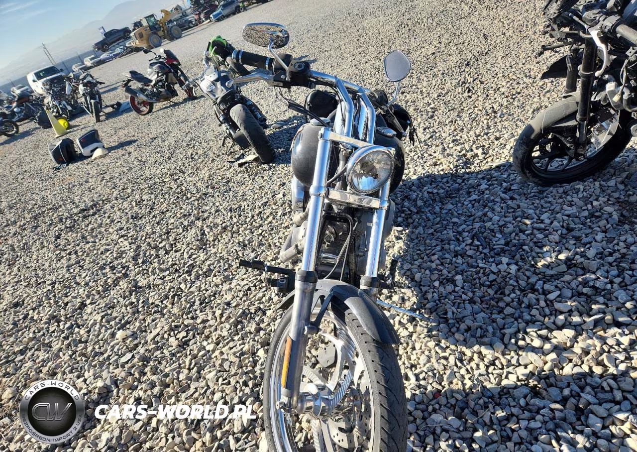 2006 Harley-Davidson Fxsti VIN:1HD1BVB376Y019768 - 2