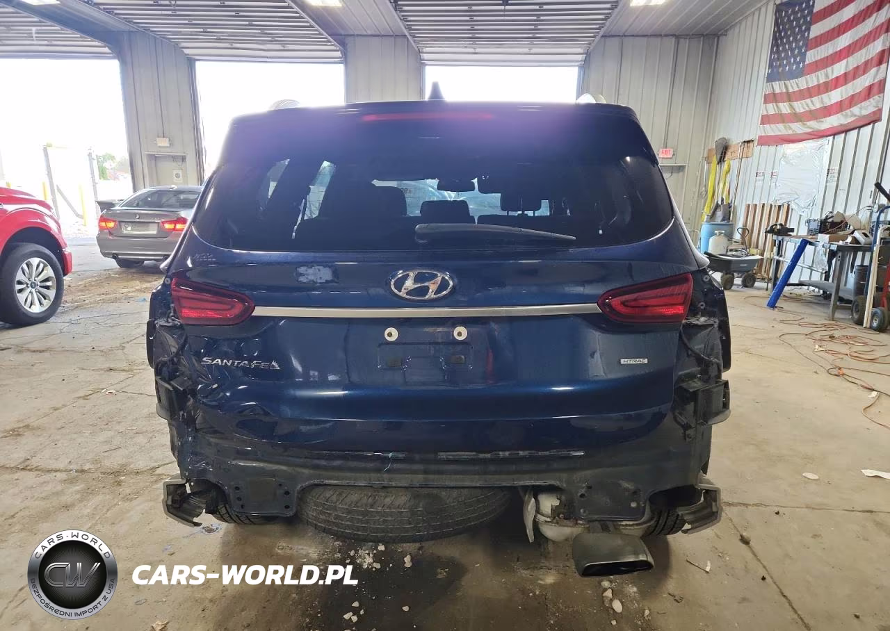 2020 Hyundai Santa Fe Sel VIN:5NMS3CAD8LH262615 - 6