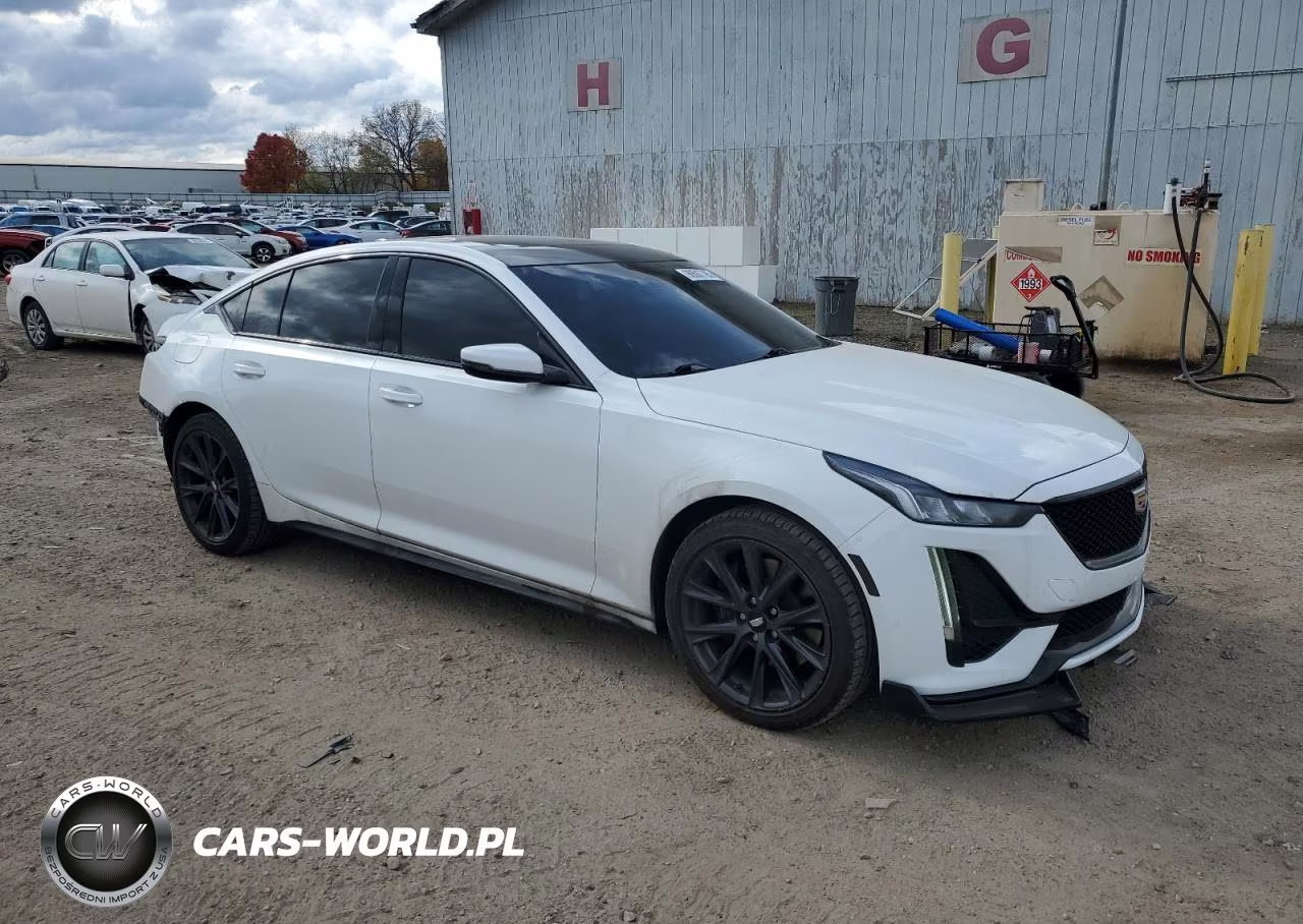 2020 Cadillac Ct5 Sport VIN:1G6DU5RK8L0146872 - 4
