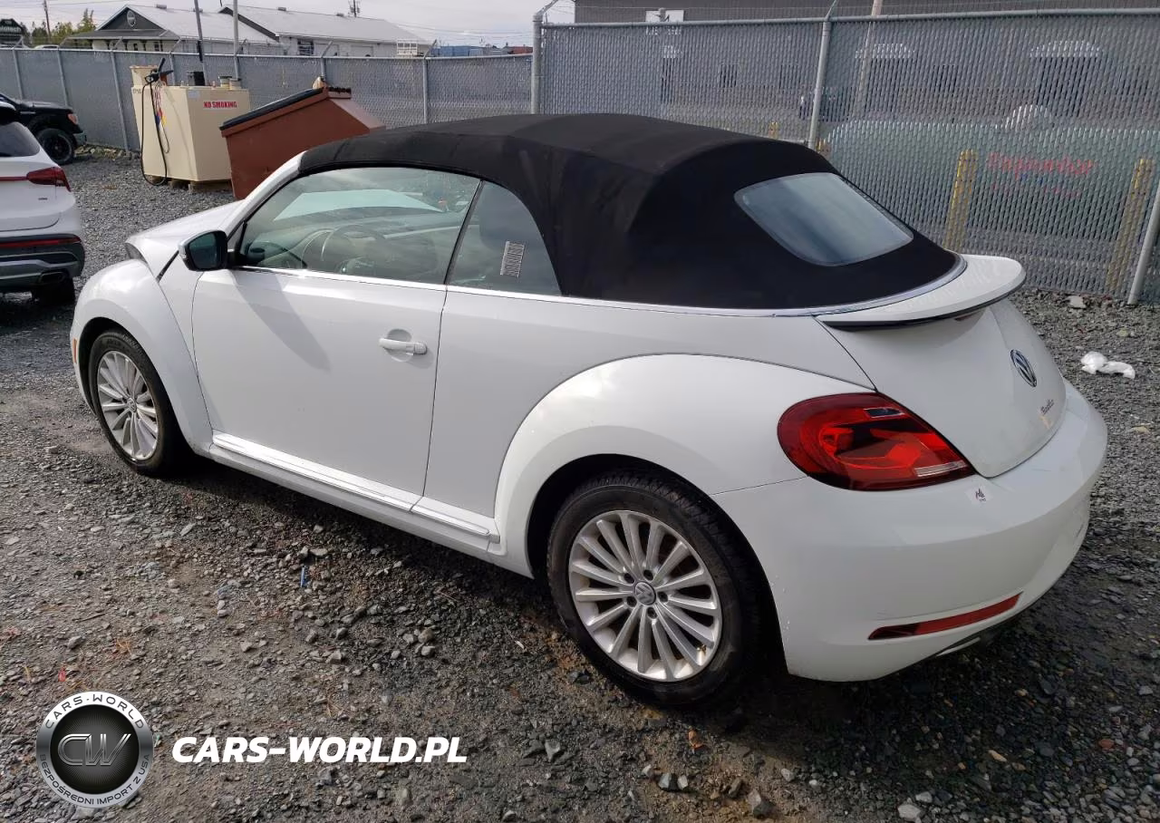 2019 Volkswagen Beetle S VIN:3VW5DAAT8KM503202 - 2
