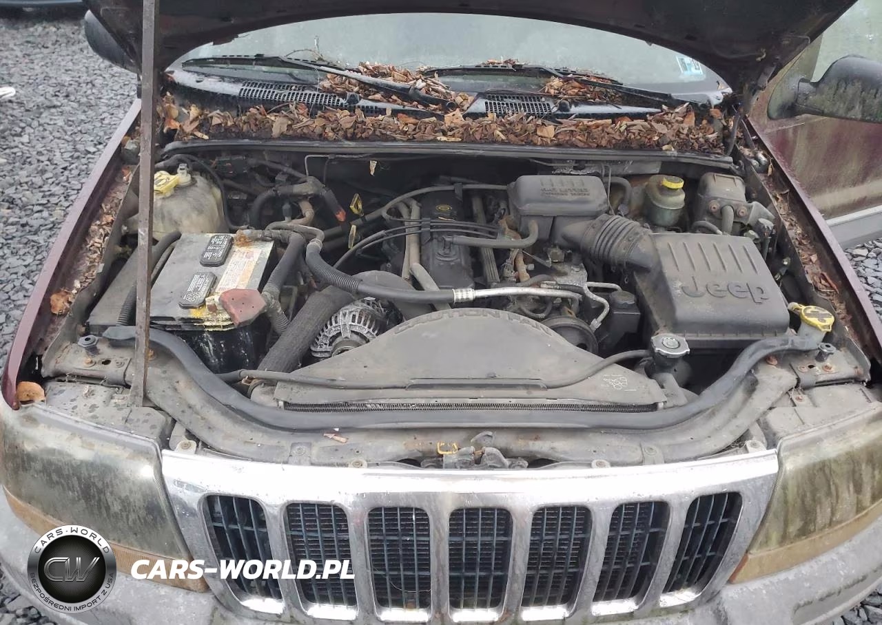 1999 Jeep Grand Cherokee Laredo VIN:1J4GW58SXXC566847 - 12