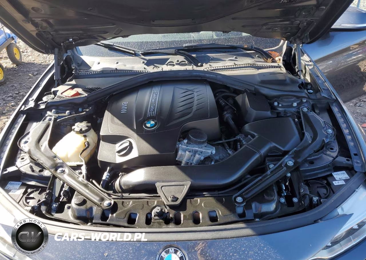 2015 BMW 435 Xi VIN:WBA3T7C56F5A36520 - 11
