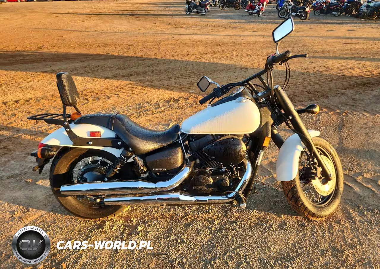 2019 Honda Vt750 C2B