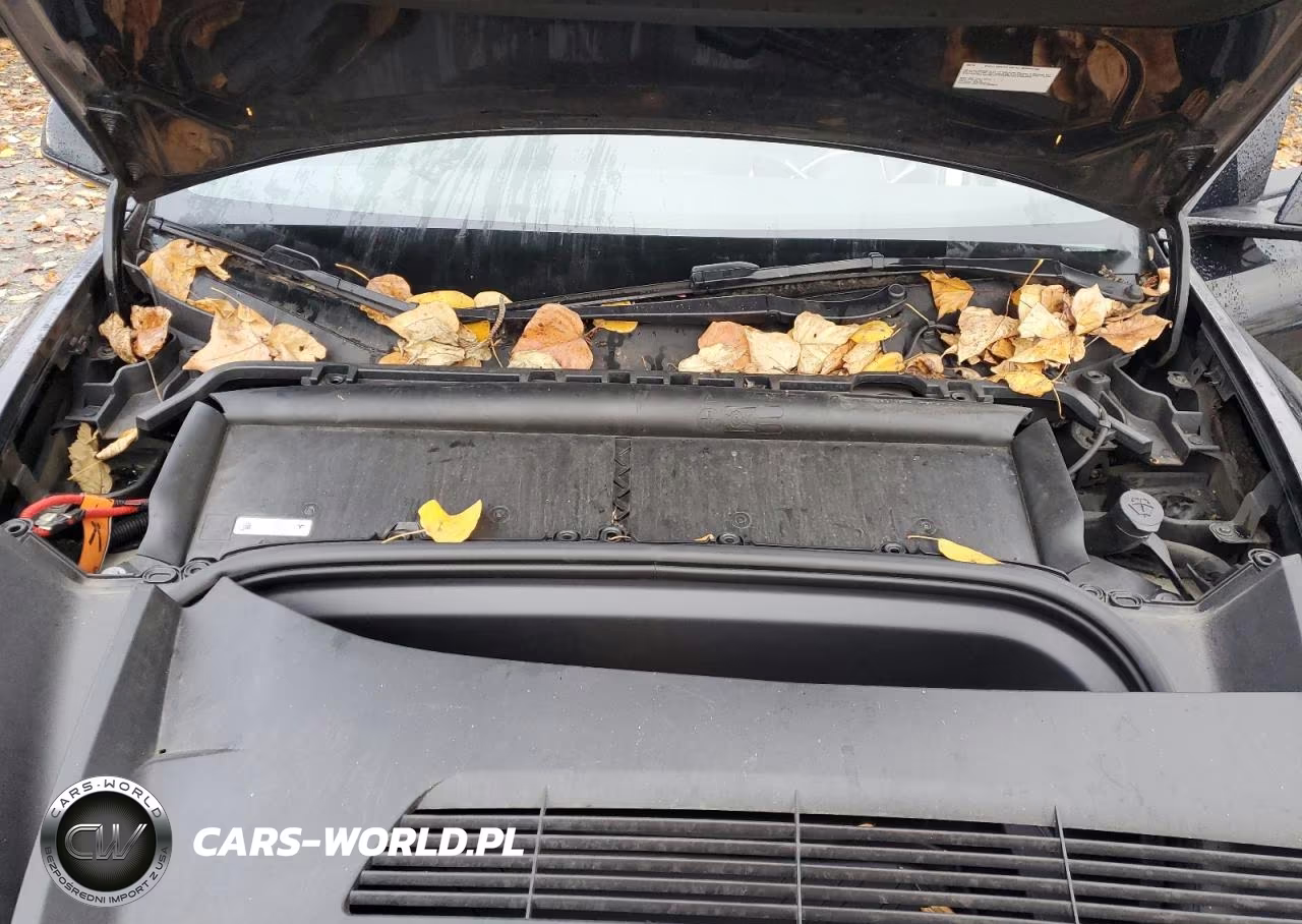 2023 Tesla Model Y VIN:7SAYGDEF3PF596738 - 12