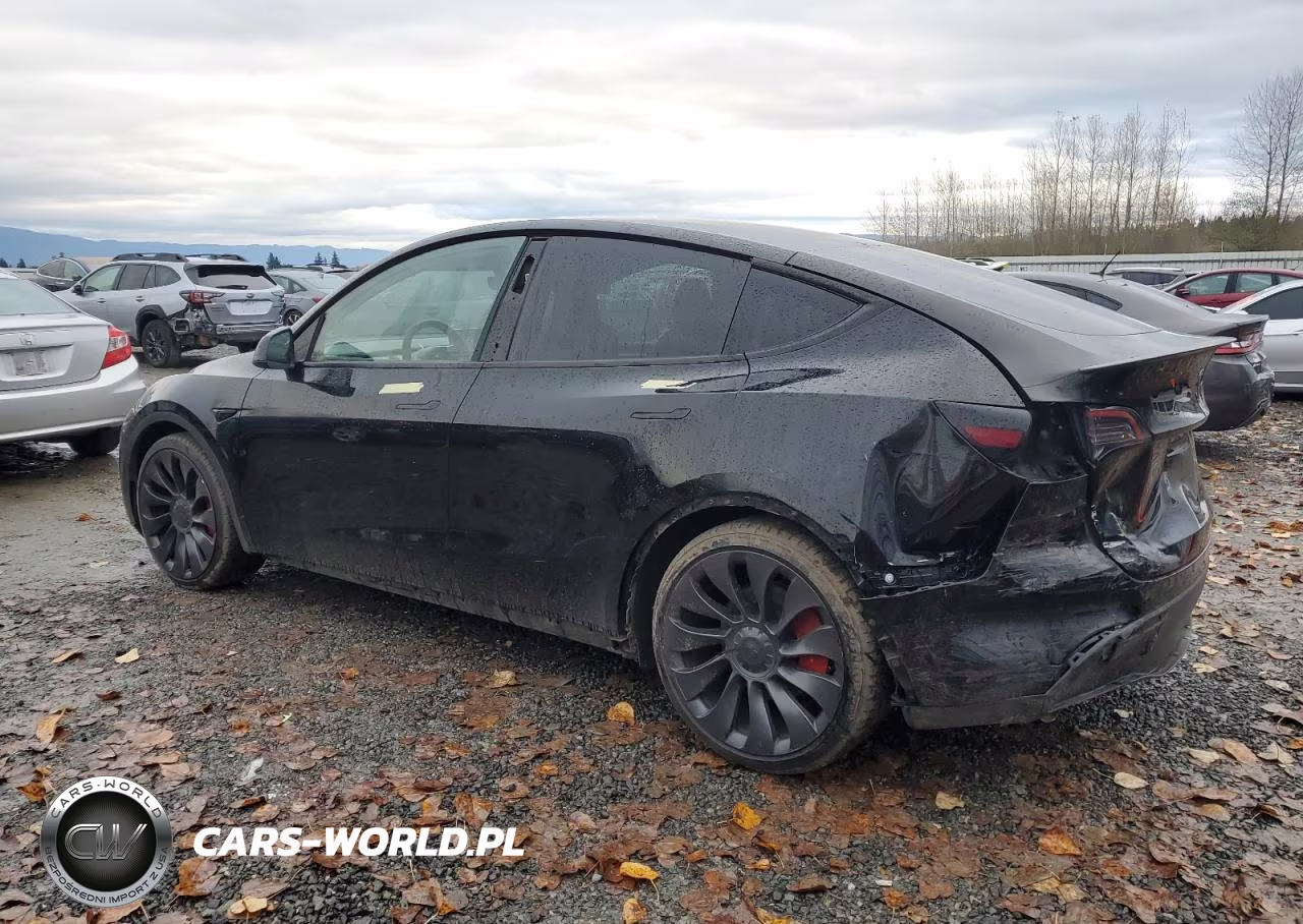 2023 Tesla Model Y VIN:7SAYGDEF3PF596738 - 2