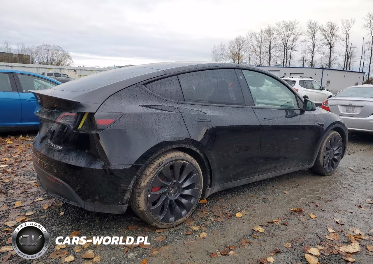 2023 Tesla Model Y VIN:7SAYGDEF3PF596738 - 3