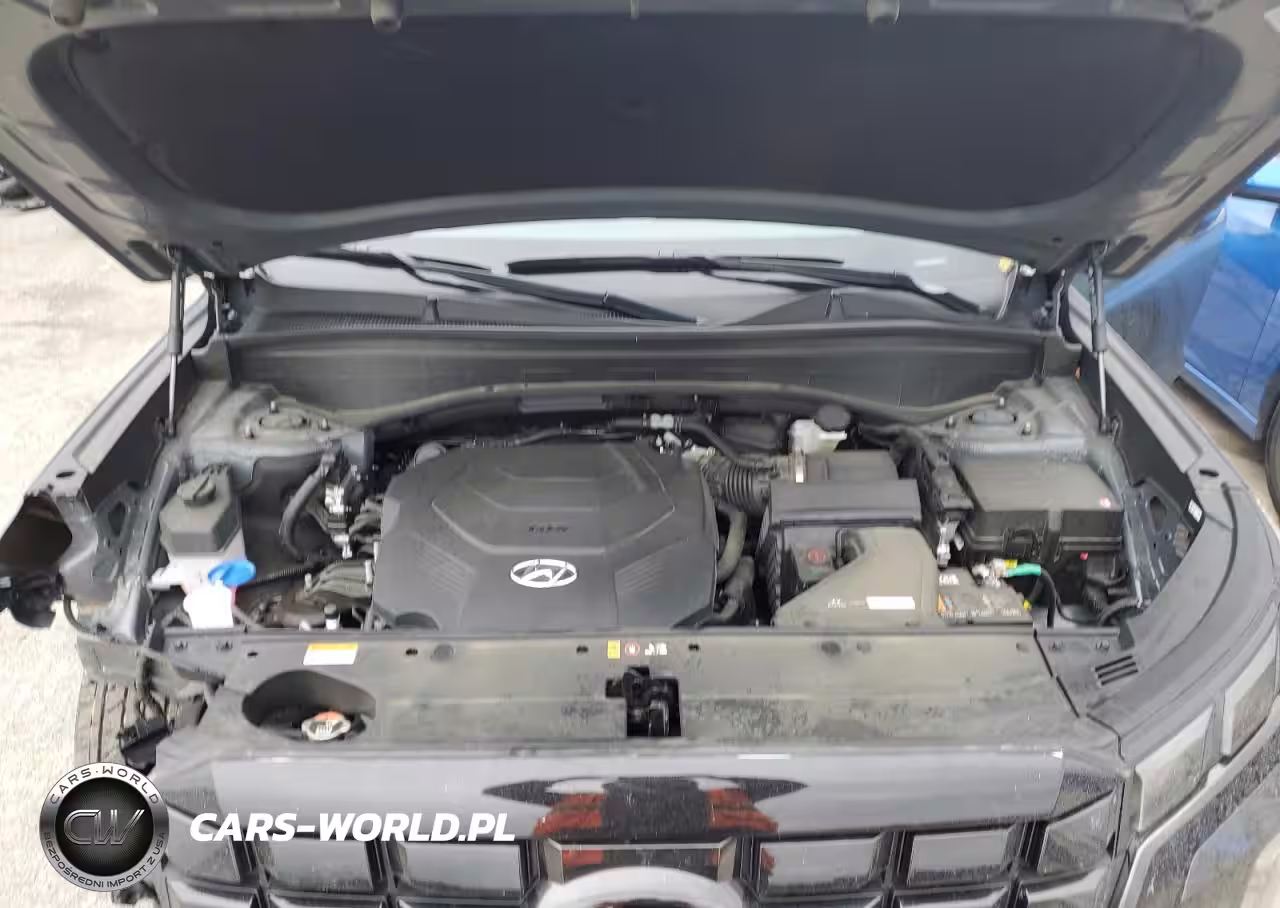 2025 Hyundai Palisade Sel VIN:KM8R24GEXSU899631 - 12