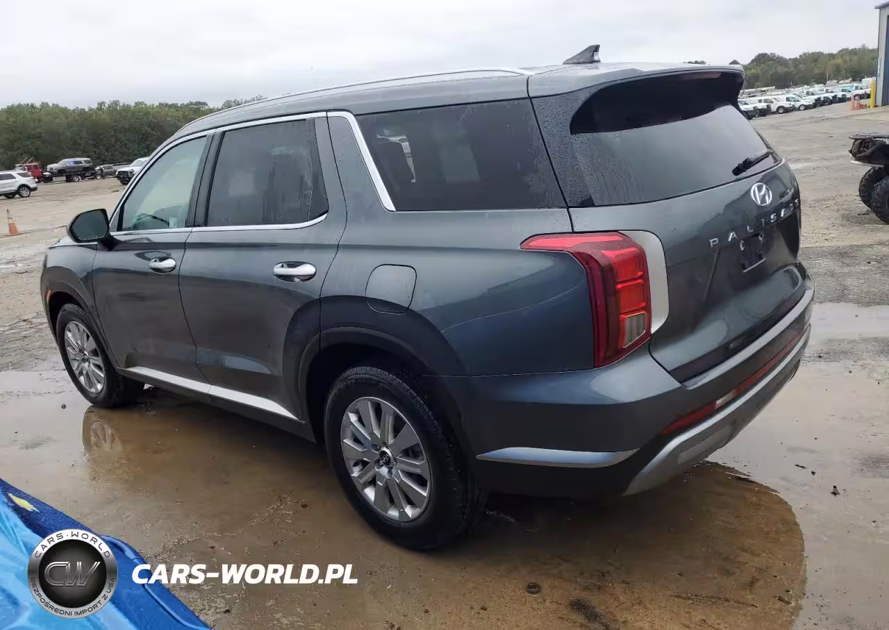 2025 Hyundai Palisade Sel VIN:KM8R24GEXSU899631 - 2