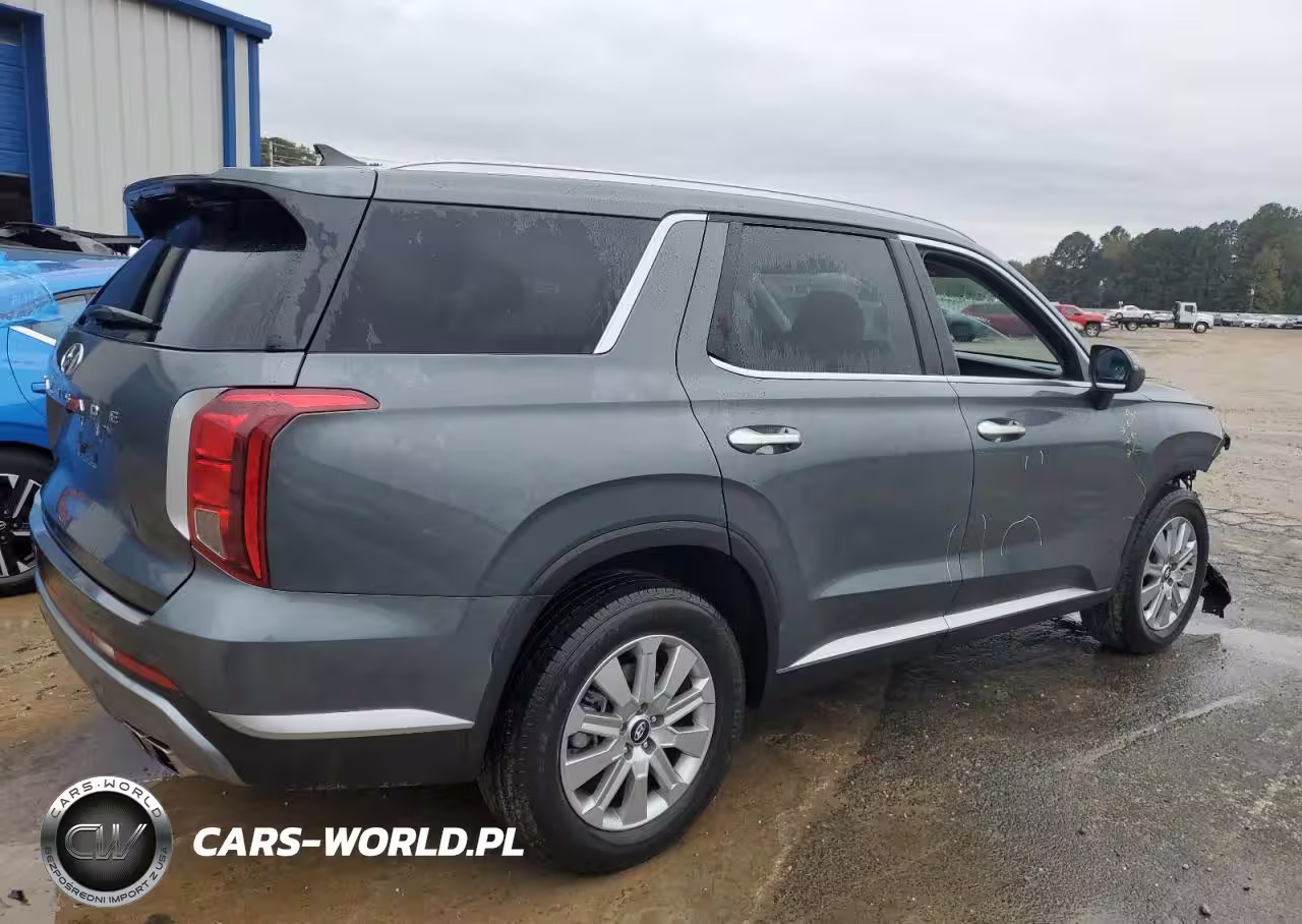 2025 Hyundai Palisade Sel VIN:KM8R24GEXSU899631 - 3