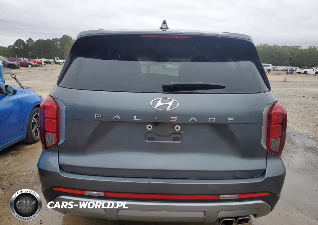 2025 Hyundai Palisade Sel VIN:KM8R24GEXSU899631 - 6