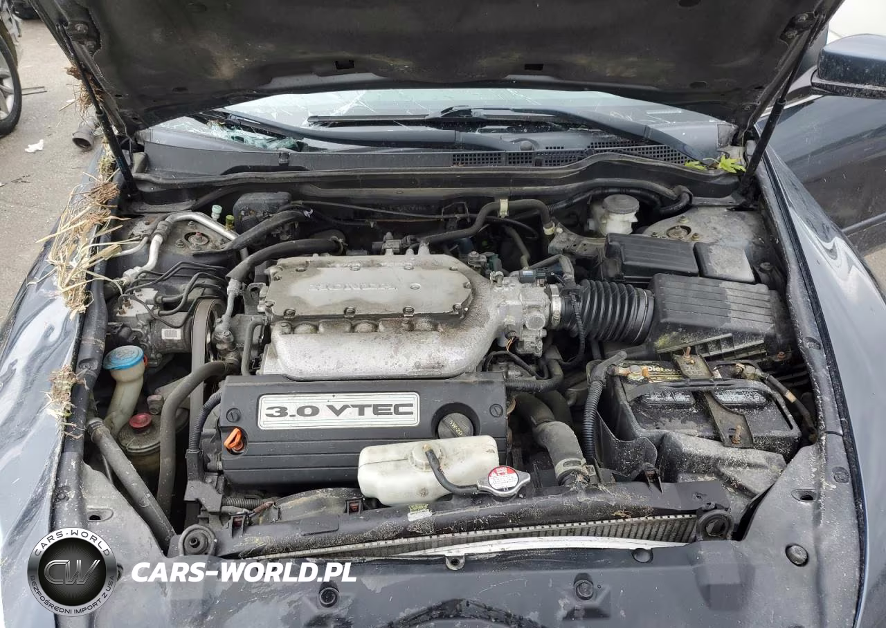 2003 Honda Accord Ex VIN:1HGCM66513A015856 - 11