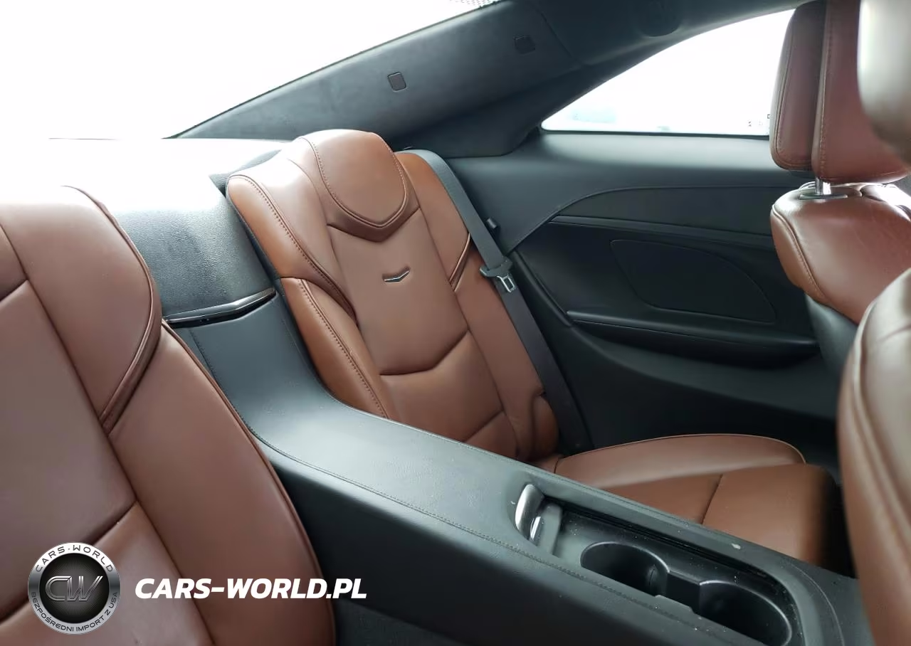 2014 Cadillac Elr Luxury VIN:1G6RS1E4XEU600398 - 10