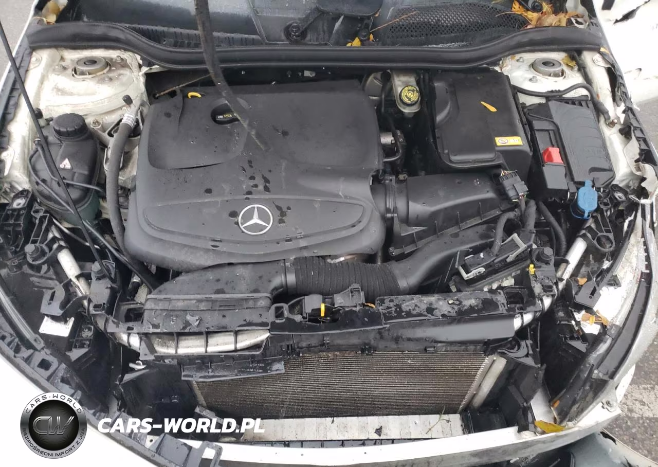 2015 Mercedes-Benz Cla 250 4Matic VIN:WDDSJ4GB7FN223786 - 11