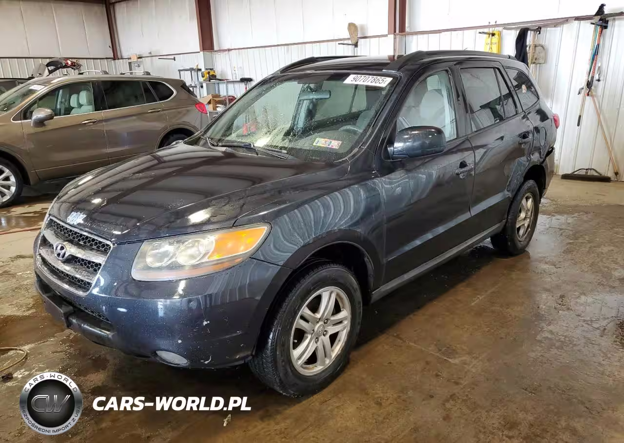 2010 Hyundai Santa Fe Gls