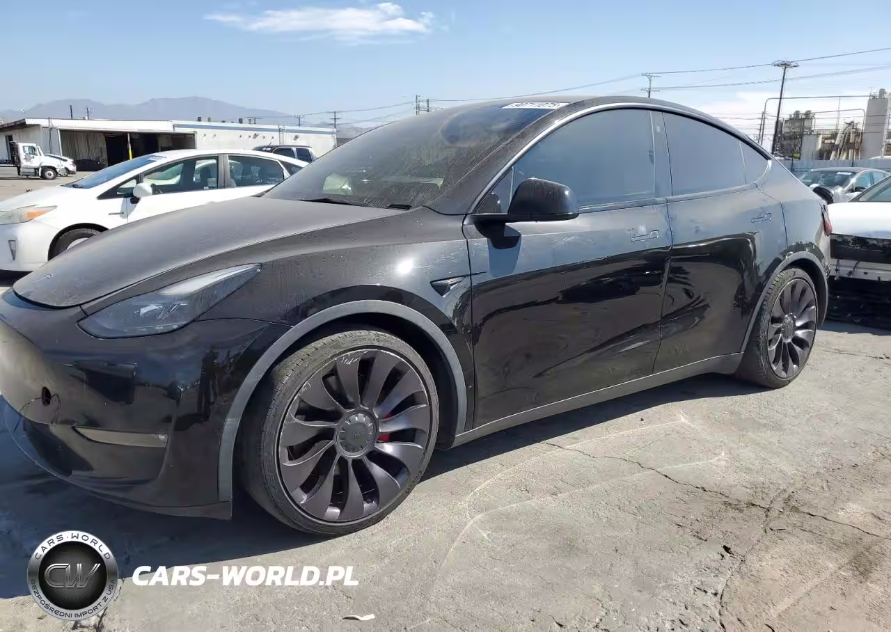 2021 Tesla Model Y