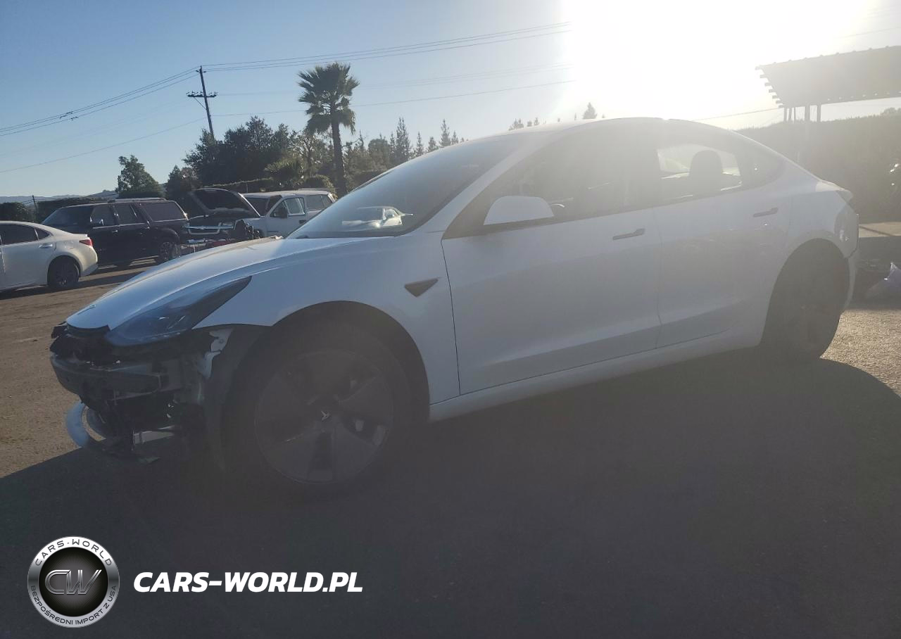 2021 Tesla Model 3