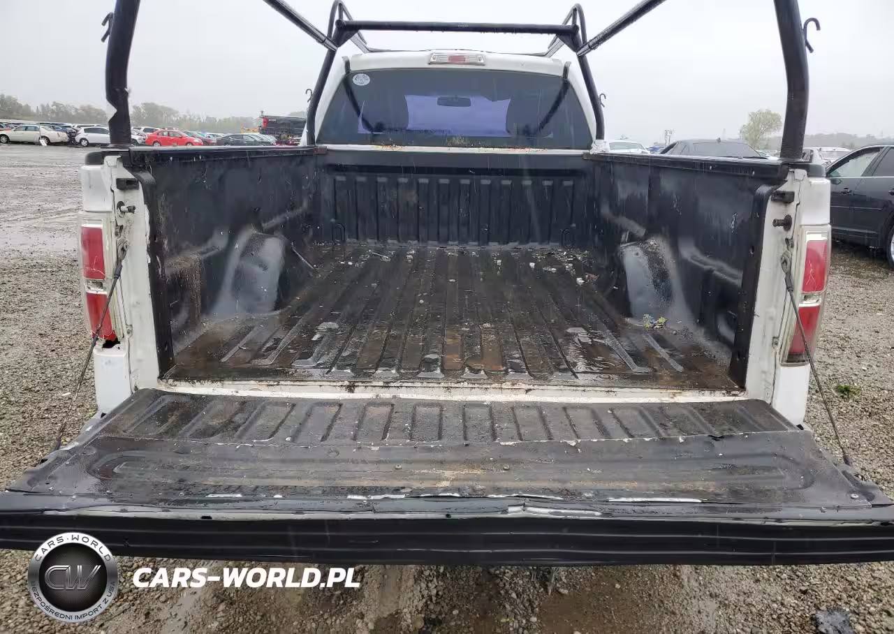 2009 Ford F150 VIN:1FTRF12W19KB80460 - 10
