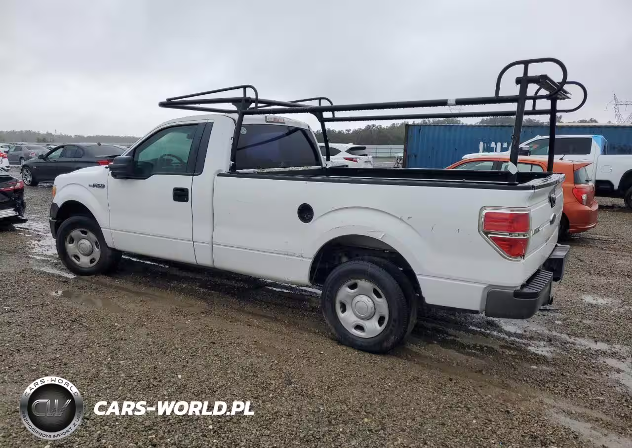 2009 Ford F150 VIN:1FTRF12W19KB80460 - 2