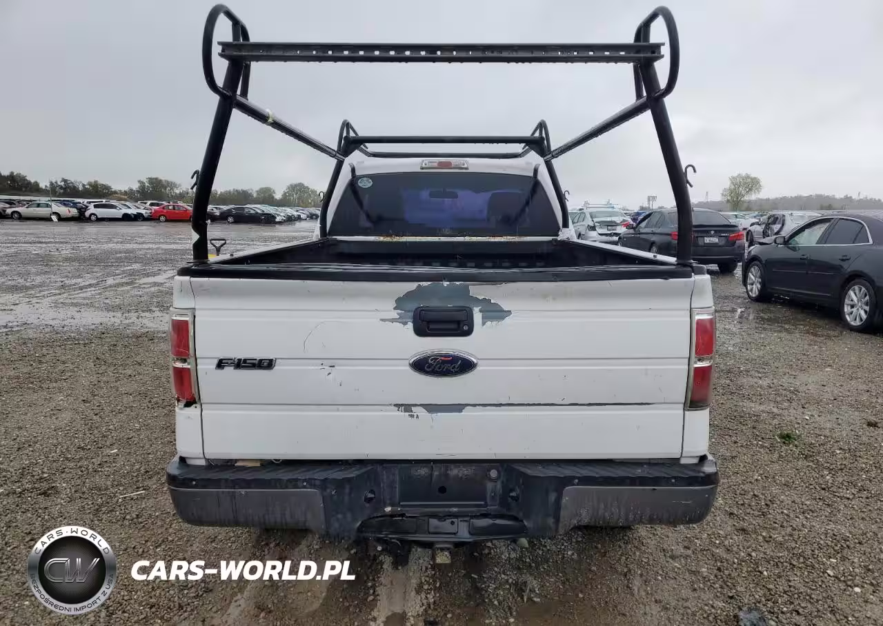 2009 Ford F150 VIN:1FTRF12W19KB80460 - 6