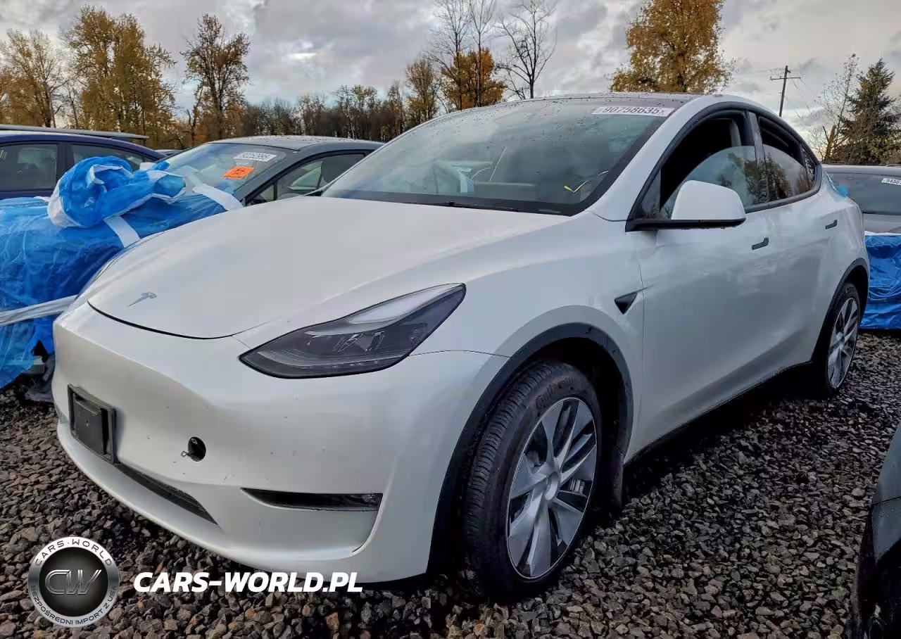2024 Tesla Model Y