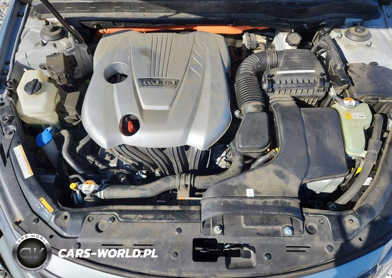 2015 Kia Optima Hybrid VIN:KNAGN4AD1F5091300 - 11